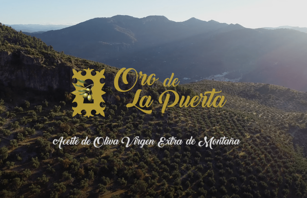Grabación y edición de Video Promocional con dron Aceite de Oliva