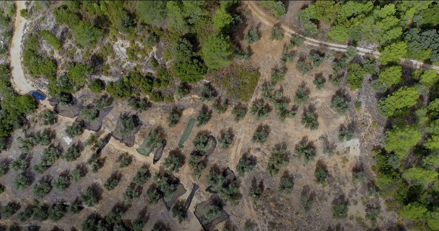 Video Promocional Dron Recolección Aove